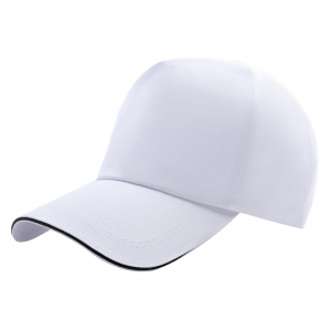 Sandwich-Brim Dad Cap